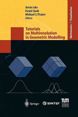 Carte Tutorials on Multiresolution in Geometric Modelling Armin Iske