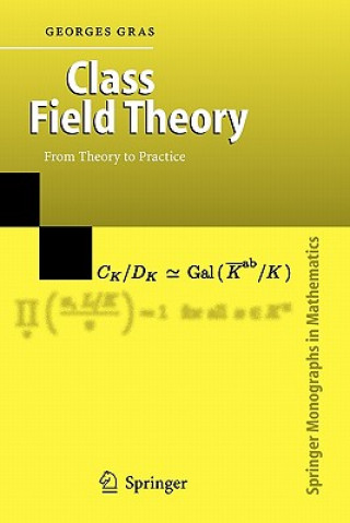 Kniha Class Field Theory Georges Gras