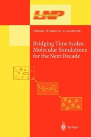 Könyv Bridging the Time Scales Peter Nielaba
