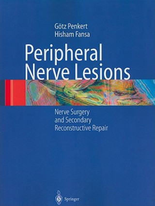 Buch Peripheral Nerve Lesions Götz Penkert