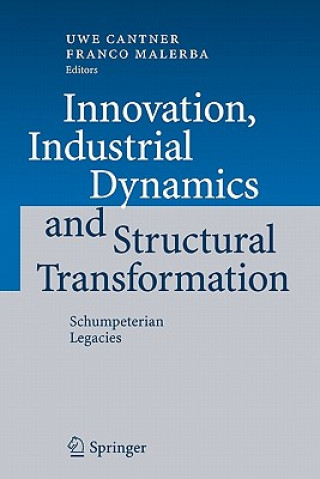 Kniha Innovation, Industrial Dynamics and Structural Transformation Uwe Cantner