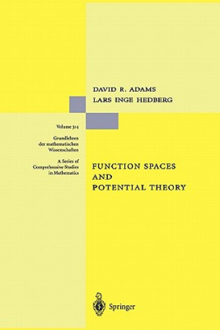 Книга Function Spaces and Potential Theory David R. Adams