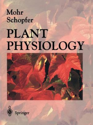 Kniha Plant Physiology Hans Mohr