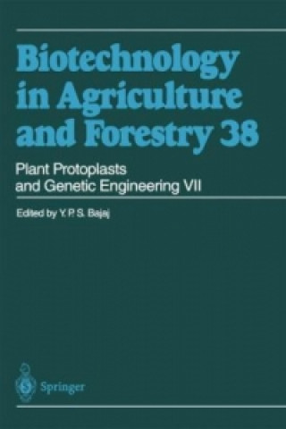 Book Plant Protoplasts and Genetic Engineering VII Toshiyuki Nagata