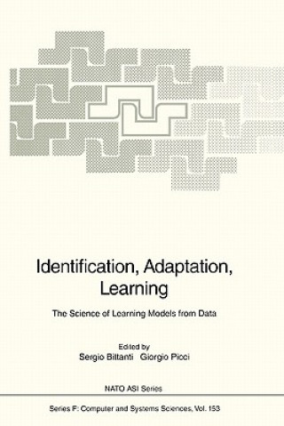 Book Identification, Adaptation, Learning Sergio Bittanti