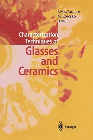Könyv Characterization Techniques of Glasses and Ceramics Jesus Ma. Rincon