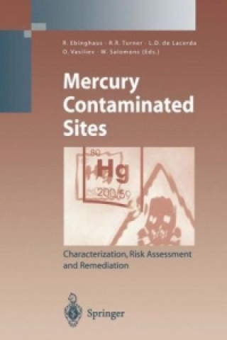 Książka Mercury Contaminated Sites Ralf Ebinghaus