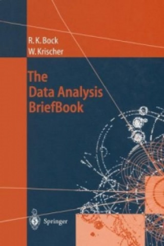 Könyv Data Analysis BriefBook Rudolf K. Bock