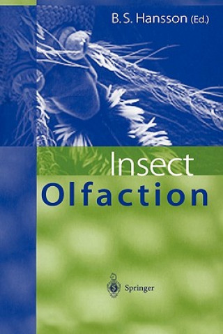 Książka Insect Olfaction Bill S. Hansson