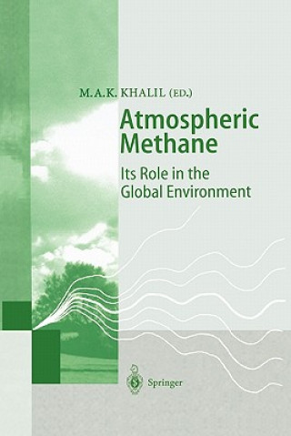 Kniha Atmospheric Methane Mohammad A. K. Khalil