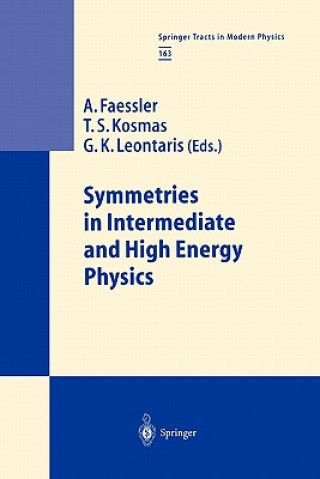 Könyv Symmetries in Intermediate and High Energy Physics A. Faessler