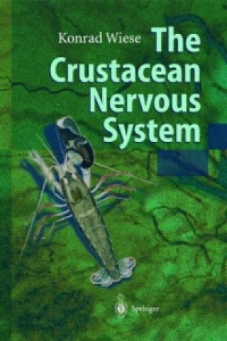 Könyv Crustacean Nervous System Konrad Wiese