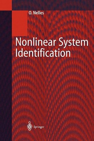 Kniha Nonlinear System Identification Oliver Nelles