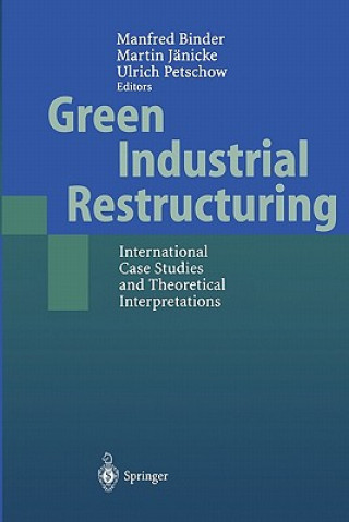 Buch Green Industrial Restructuring Manfred Binder