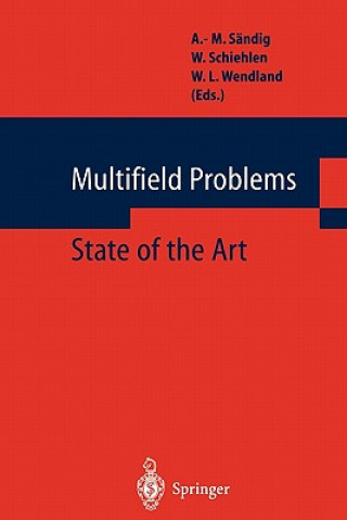 Kniha Multifield Problems A.-M. Sändig