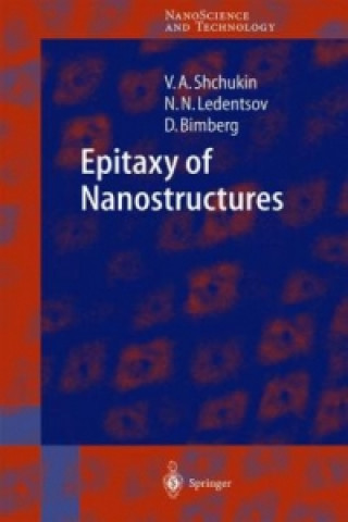 Kniha Epitaxy of Nanostructures Vitaly Shchukin