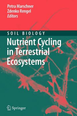 Carte Nutrient Cycling in Terrestrial Ecosystems Petra Marschner