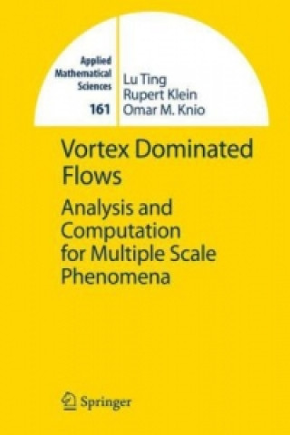 Buch Vortex Dominated Flows Lu Ting