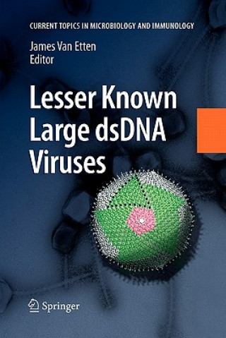 Książka Lesser Known Large dsDNA Viruses James L. van Etten