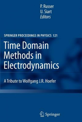 Książka Time Domain Methods in Electrodynamics Peter Russer