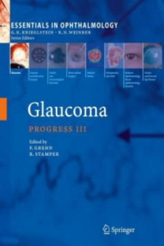 Книга Glaucoma Franz Grehn