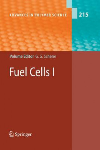 Carte Fuel Cells I Günther G. Scherer