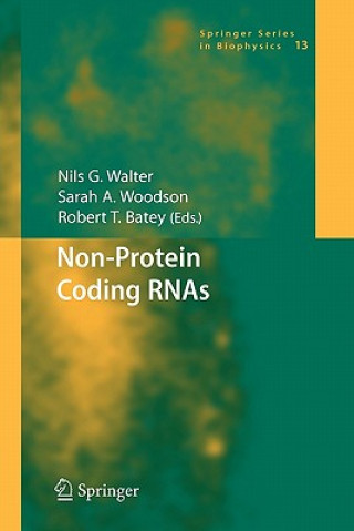 Könyv Non-Protein Coding RNAs Nils Walter
