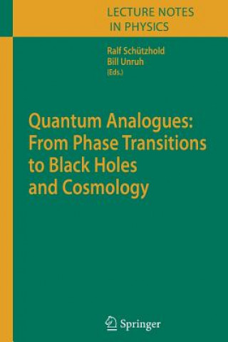 Βιβλίο Quantum Analogues: From Phase Transitions to Black Holes and Cosmology William Unruh