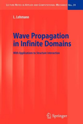 Könyv Wave Propagation in Infinite Domains Lutz Lehmann