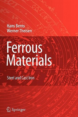 Könyv Ferrous Materials Hans Berns