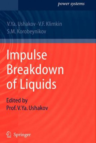 Knjiga Impulse Breakdown of Liquids Vasily Y. Ushakov