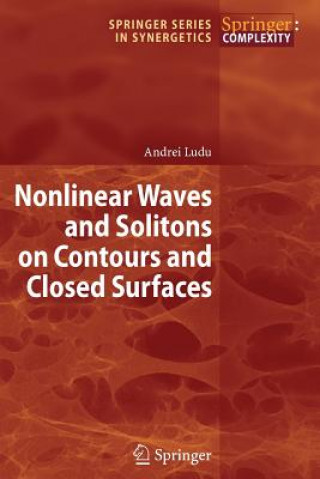 Książka Nonlinear Waves and Solitons on Contours and Closed Surfaces Andrei Ludu