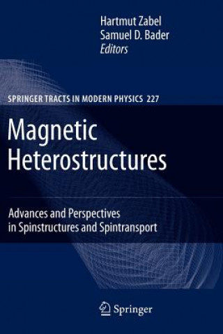 Könyv Magnetic Heterostructures H. Zabel