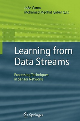 Buch Learning from Data Streams Jo