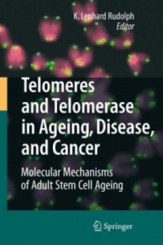 Kniha Telomeres and Telomerase in Aging, Disease, and Cancer K. Lenhard Rudolph