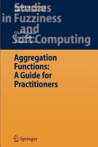 Könyv Aggregation Functions: A Guide for Practitioners Gleb Beliakov
