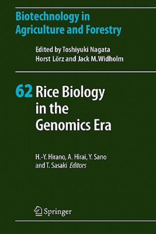 Kniha Rice Biology in the Genomics Era Hiro-Yuki Hirano