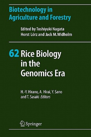 Książka Rice Biology in the Genomics Era Hiro-Yuki Hirano