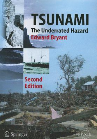 Kniha Tsunami Edward Bryant