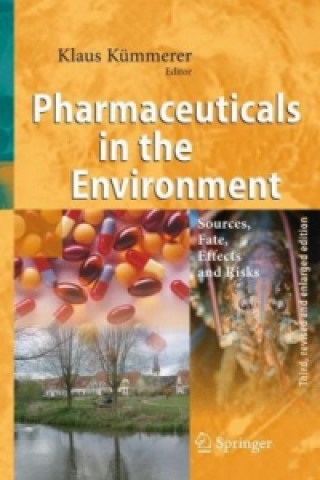 Kniha Pharmaceuticals in the Environment Klaus Kümmerer