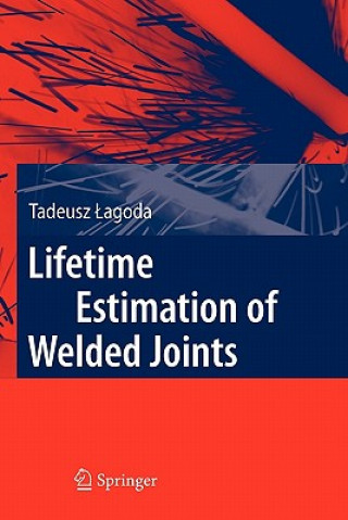 Kniha Lifetime Estimation of Welded Joints Tadeusz Lagoda