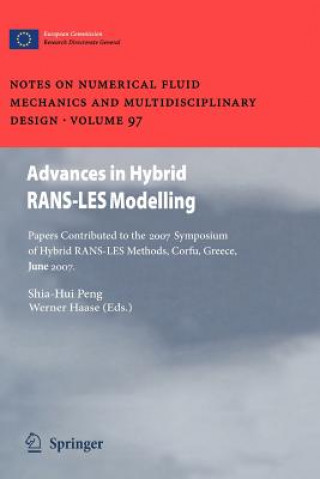 Книга Advances in Hybrid RANS-LES Modelling Shia-Hui Peng