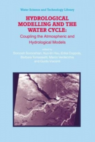 Kniha Hydrological Modelling and the Water Cycle Soroosh Sorooshian