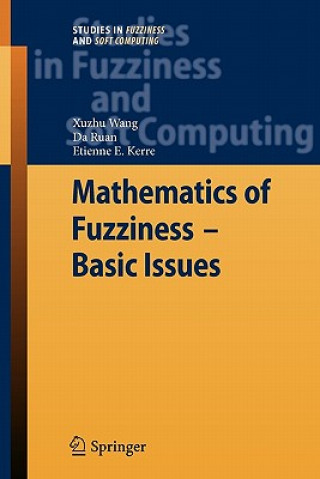Könyv Mathematics of Fuzziness-Basic Issues Xuzhu Wang