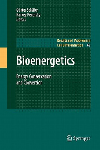 Kniha Bioenergetics Günter Schäfer