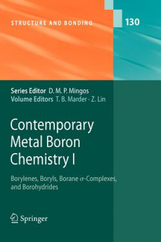 Kniha Contemporary Metal Boron Chemistry I Todd B. Marder