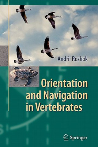 Könyv Orientation and Navigation in Vertebrates Andrii Rozhok