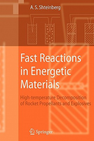 Kniha Fast Reactions in Energetic Materials Alexander S. Shteinberg