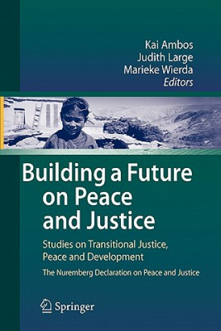 Book Building a Future on Peace and Justice Kai Ambos