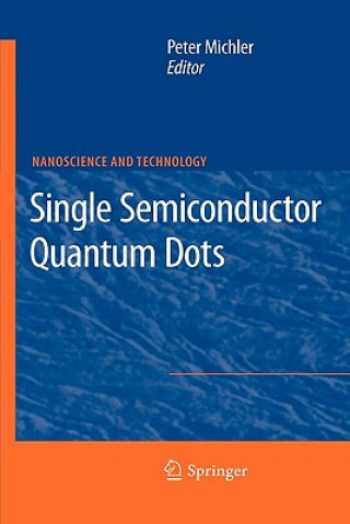 Carte Single Semiconductor Quantum Dots Peter Michler
